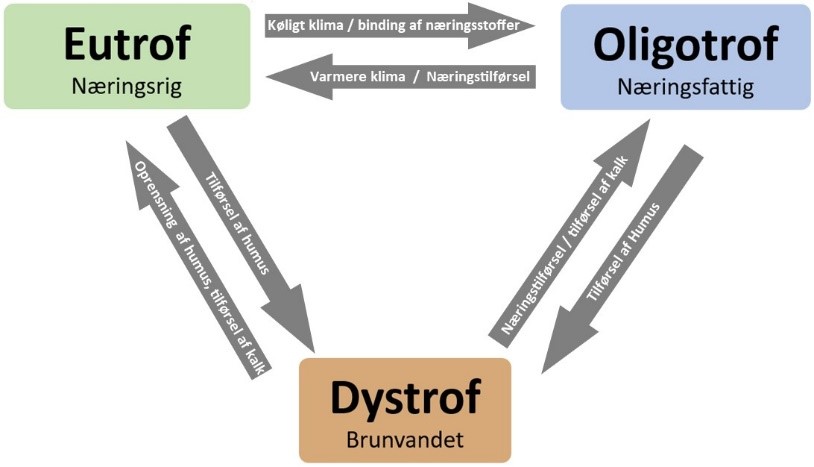 Eutrof-oligotrof-dystrof-sø-trekant-med-årsager
