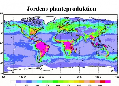 11 jordens planteproduktion.JPG