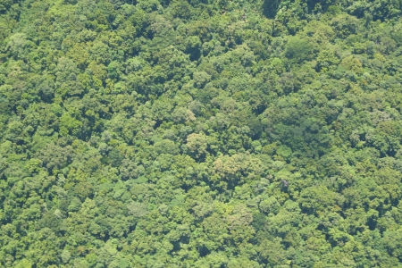 5 Fig 2 vue over skov.JPG