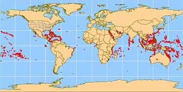 Fig03_Map of world corals_372.jpg