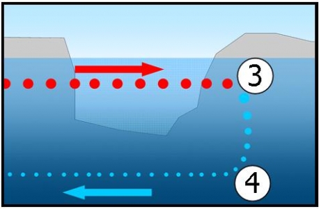 Fig13.jpg