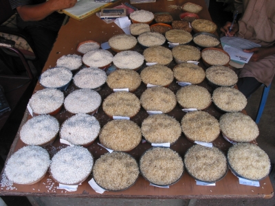 Rice varieties, market in Kerala.JPG