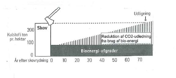 bioenergi.jpg