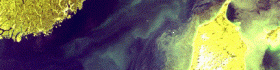 image003.gif